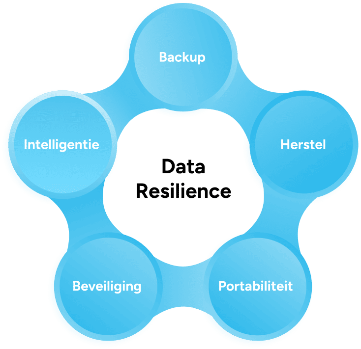data_resilience_nl_img